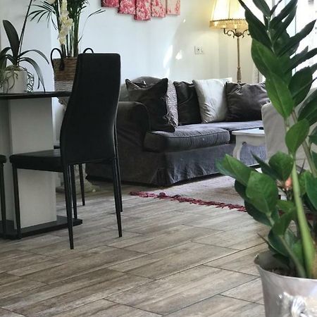 Garden Carras Apartment Nice Bagian luar foto