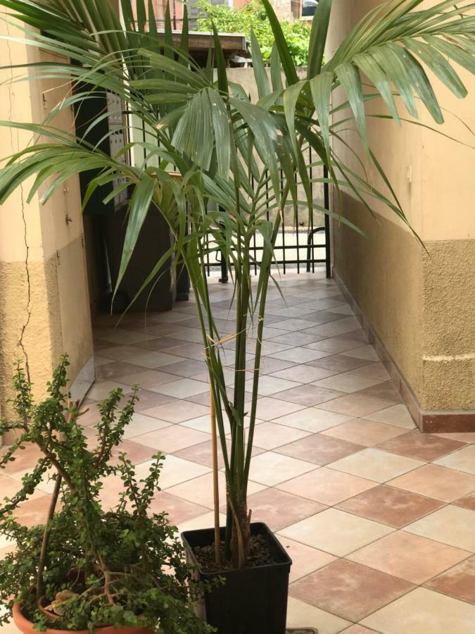 Garden Carras Apartment Nice Bagian luar foto